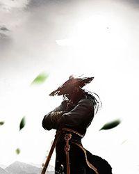 公主以胸平天下作者锦殇繁花