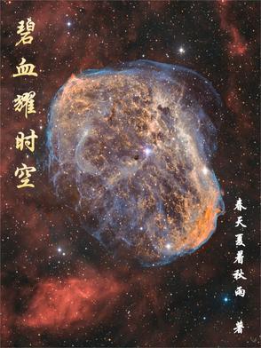 心甘情愿全文免费阅读